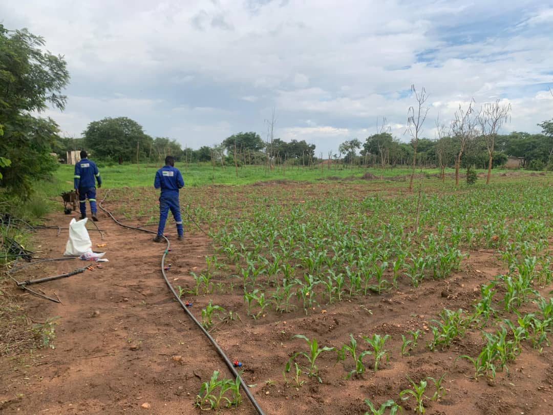 WhatsApp Image 2026-01-07 at 7.22.07 PM (1)