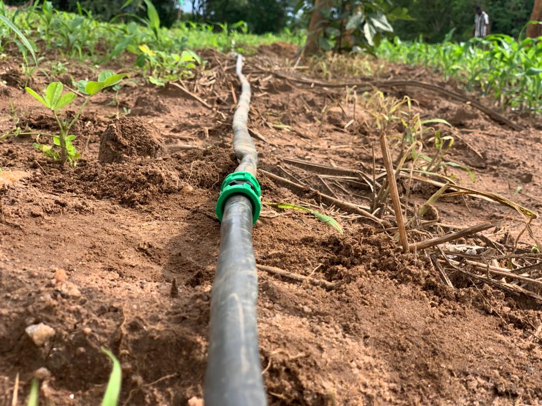 WhatsApp Image 2026-01-07 at 7.22.07 PM (2)